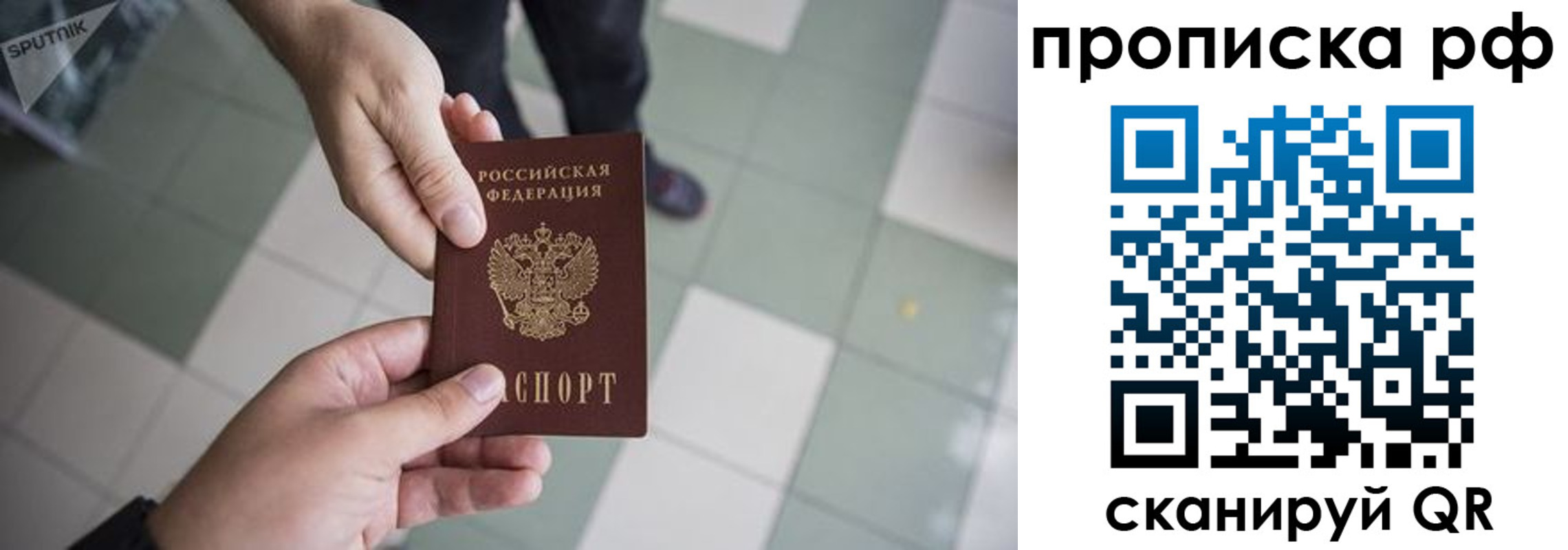 прописка гарантия в Брянске